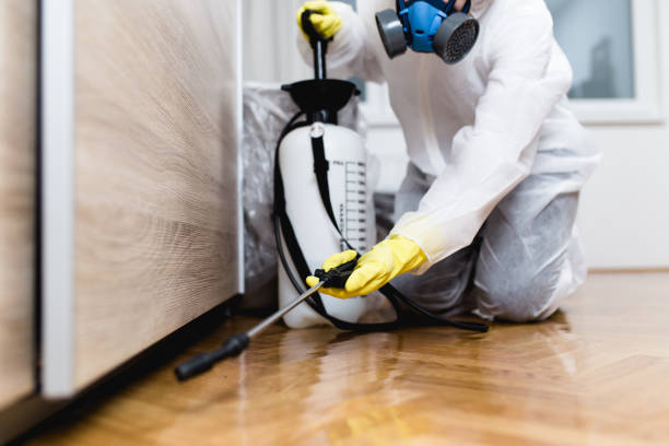 Best Mosquito Control Services  in Fenton, MO