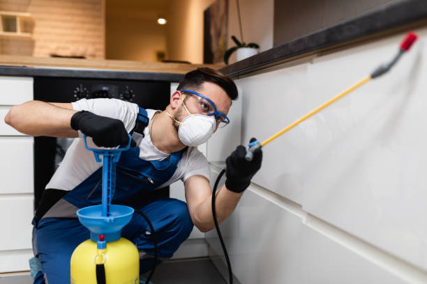 Best Affordable Pest Control Services  in Fenton, MO