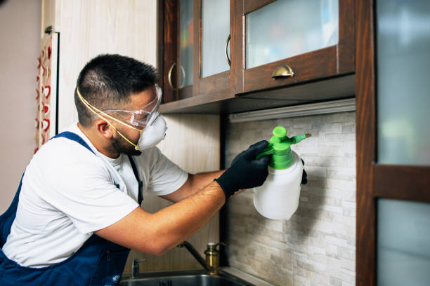 Pest Prevention Services in Fenton, MO