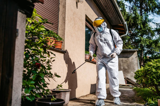 Best Pest Prevention Services  in Fenton, MO