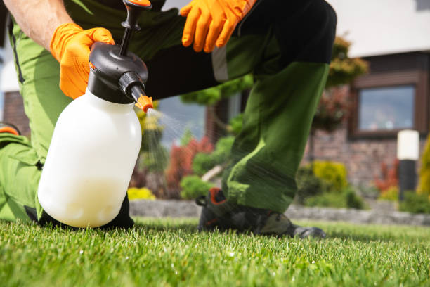 Best Pest Removal Services  in Fenton, MO