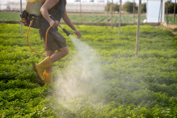 Best Pest Control for Businesses  in Fenton, MO