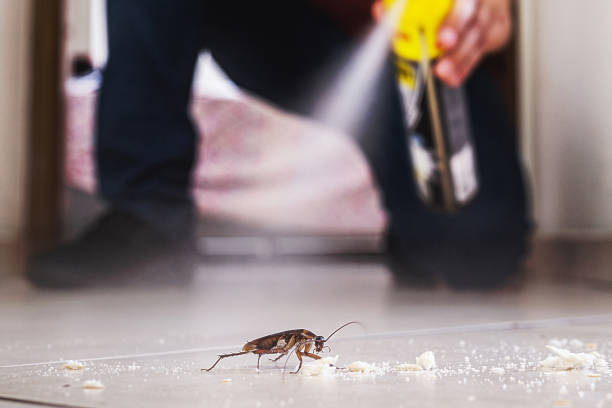 Best Wildlife Control Services  in Fenton, MO