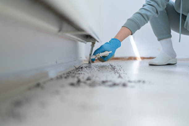 Best Best Pest Control Companies  in Fenton, MO