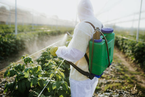 Best Bed Bug Extermination  in Fenton, MO